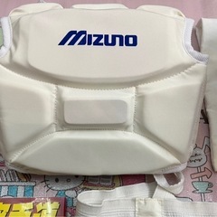 空手防具セットの画像