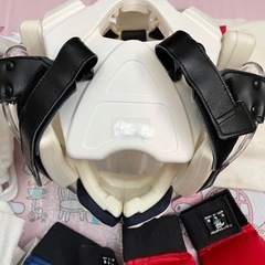 空手防具セットの画像
