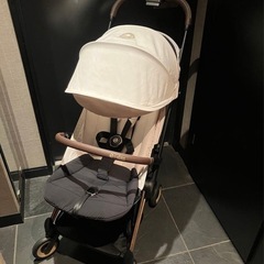 サイベックス Coya コヤ バンパー付の画像