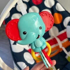 フィッシャープライスバウンサーの画像