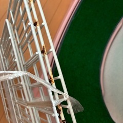 キャットケージの画像