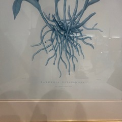 額縁付き絵画　リリー74✖️95cm 　ホテル装飾品の画像