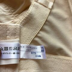 【送料込/オンライン決済/美品】アールイズウエディング ブライダルインナー Vカットビスチェ B75の画像