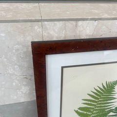 シダの額縁付き絵画　ホテル絵画の画像