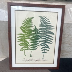 シダの額縁付き絵画　ホテル絵画の画像