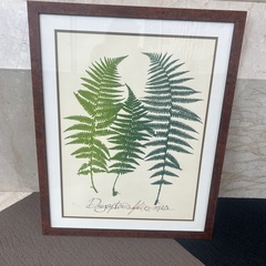 シダの額縁付き絵画　ホテル絵画の画像