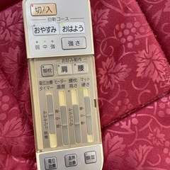 エクセルヒューマン 健康いちばん温 熱・電位・マッサージマットレス 中古品 定価36万円オーバの画像