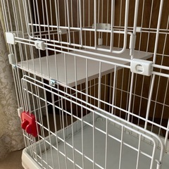 美品※猫用ペットゲージの画像