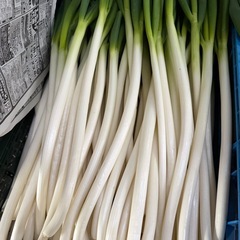 【大人気お得品】栃木県塩谷郡産/規格外品白ネギ
の画像