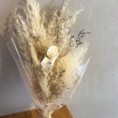 ドライフラワーの画像