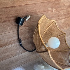 ライトカバーの画像