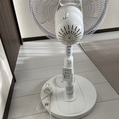 【美品】アイリスオーヤマ扇風機の画像