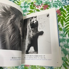 ブルーデイブックの画像