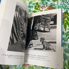 ブルーデイブックの画像