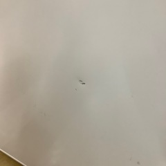 【トレファク ラパーク岸和田店】2020年製 無印良品 2ドア冷蔵庫　入荷しました【6ヶ月保証】の画像