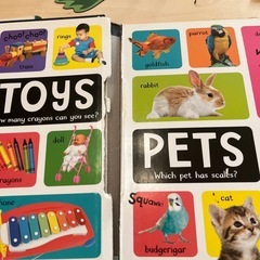 ⑨アルファベットパズル、本　難あり　の画像