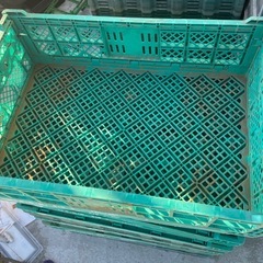 折りたたみコンテナ グリーン の画像