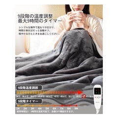 新品　電気毛布 セミダブル 190×130cm 速暖 タイマー 厚手フランネル グレー ブランケット 節電 省エネ 大判の画像