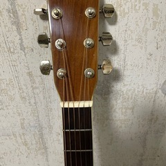 アコースティックギター　MORRIS MD-515　の画像