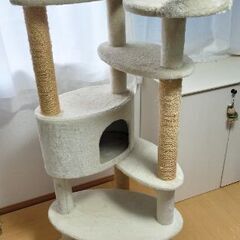 キャットタワーいりませんか？の画像