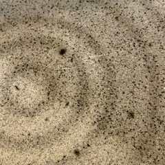 【引き取り限定】中古品　平皿　和皿　大皿　の画像