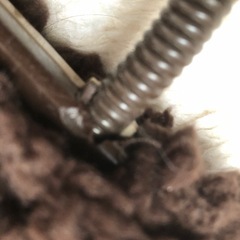 ペット用ヒーター‼️
の画像