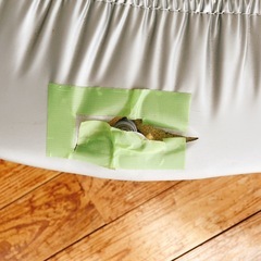 室内用トランポリンの画像