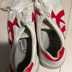 体育館シューズの画像