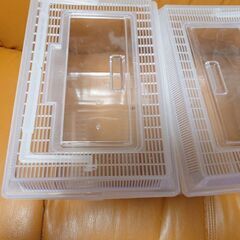 小鳥さん外出用ケース、虫かごの画像