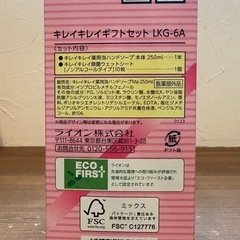 【新品未使用】泡ハンドソープ 除菌ウェットシート ¥200／1箱　ギフトセット キレイキレイの画像