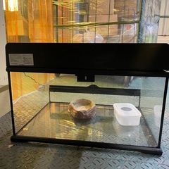 EXO TERRA 爬虫類用ガラスケージ 60cm セットの画像