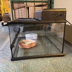EXO TERRA 爬虫類用ガラスケージ 60cm セットの画像