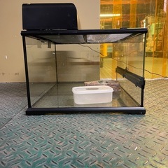 EXO TERRA 爬虫類用ガラスケージ 60cm セットの画像