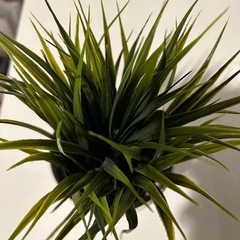 フェイク観葉植物の画像