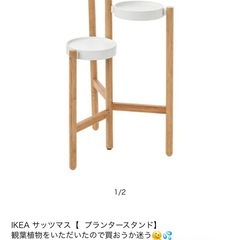 観葉植物の置き台。IKEAイケアSATSUMASプラントスタンド, 竹, ホワイト。の画像