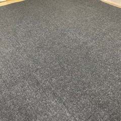 Panasonic 2畳用ホットカーペット DC-SCV20Lの画像