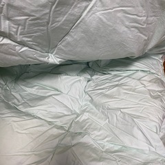 (取引終了)羽毛 肌掛け 布団 シングルの画像