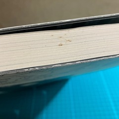 クリムト他『ウイーン分離派1898-1918』図録の画像