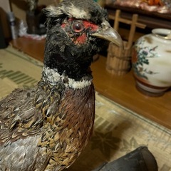 キジ　置物の画像