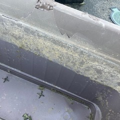 メダカ　プランター容器　めだか容器の画像