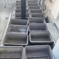 メダカ　プランター容器　めだか容器の画像