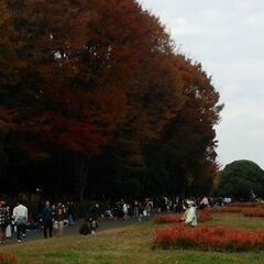 `26.1/18(日) 所沢航空記念公園　フリーマーケット