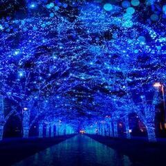 ◆◇【無料＆勧誘なし】渋谷カフェ会で友達作り12/13（土）30...