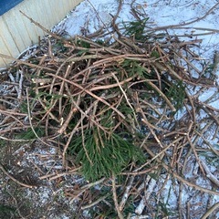 薪ストーブに使える木の画像