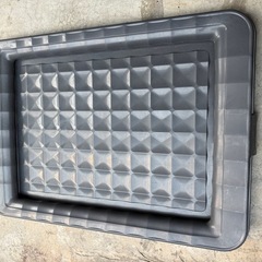 犬　トイレの画像