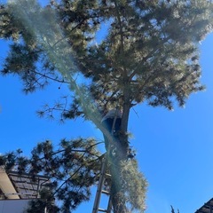 最速！！【山梨全域】草刈り・伐採・片付けサポートします！ 軽トラ...