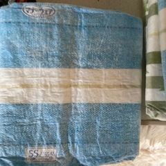 犬の紙オムツの画像