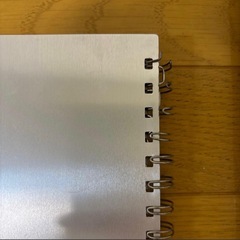 マドンナ 写真集 海外版の画像