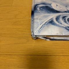 マドンナ 写真集 海外版の画像