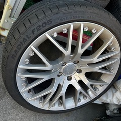 カールソン、19インチの画像